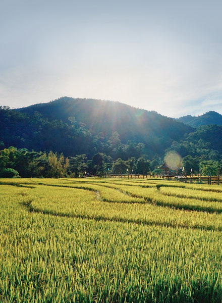 Baan Krating Pai Resort
